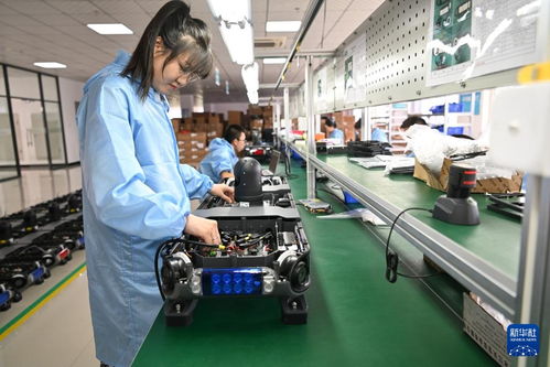 哈爾濱新區 技術服務涌動創新熱潮，引領產業振興